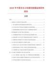2025年中國(guó)冷光火輪煙花數(shù)據(jù)監(jiān)測(cè)研究報(bào)告