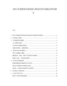 2025養老服務體系構建與銀發經濟市場機會研究報告
