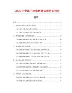 2025年中國下線盒數據監測研究報告