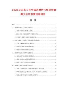 2026及未來5年中國熱烘爐市場現狀數據分析及前景預測報告