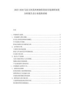 2025-2030烏拉圭阿莫西林鈉供貨商市場調(diào)研深度分析報告及行業(yè)趨勢重磅
