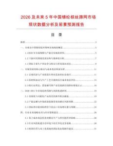 2026及未來5年中國錦綸棕絲篩網市場現狀數據分析及前景預測報告