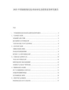2025中國虛擬現(xiàn)實技術(shù)商業(yè)化及投資前景研究報告