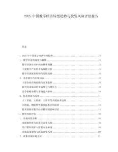2025中國數字經濟轉型趨勢與投資風險評估報告