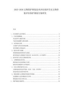 2025-2030文物保護(hù)修復(fù)技術(shù)評(píng)估保護(hù)歷史文物價(jià)值評(píng)估保護(hù)規(guī)劃方案研究