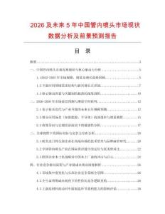 2026及未來5年中國管內噴頭市場現狀數據分析及前景預測報告