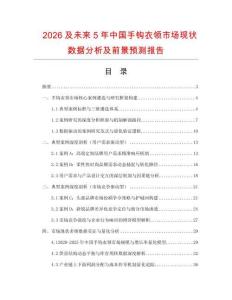 2026及未來5年中國手鉤衣領市場現狀數據分析及前景預測報告