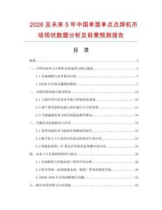 2026及未來5年中國單面單點點焊機市場現狀數據分析及前景預測報告