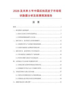 2026及未來5年中國后擋泥皮子市場現狀數據分析及前景預測報告