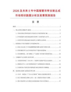 2026及未來5年中國尾管吊帶支架總成市場現狀數據分析及前景預測報告