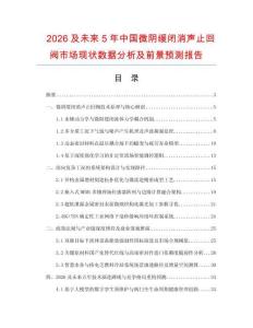2026及未來5年中國微陰緩閉消聲止回閥市場現狀數據分析及前景預測報告