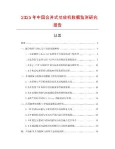 2025年中國合并式功放機數據監測研究報告