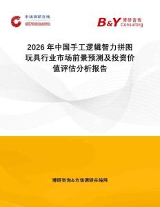 2026年中國手工邏輯智力拼圖玩具行業(yè)市場前景預(yù)測及投資價值評估分析報告