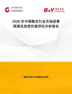 2026年中國鞋舌行業(yè)市場前景預(yù)測及投資價值評估分析報告