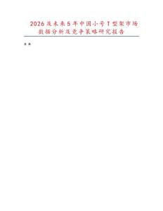 2026及未來5年中國小號T型架市場數據分析及競爭策略研究報告