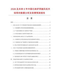 2026及未來5年中國化鐵爐用鼓風機市場現(xiàn)狀數(shù)據分析及前景預測報告