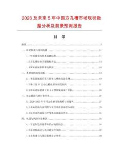 2026及未來5年中國方孔槽市場現(xiàn)狀數(shù)據(jù)分析及前景預(yù)測報(bào)告
