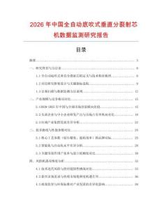 2026年中國全自動底吹式垂直分裂射芯機數據監測研究報告