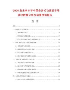 2026及未來5年中國合并式功放機市場現狀數據分析及前景預測報告