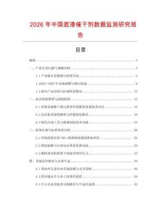 2026年中國底漆催干劑數據監測研究報告