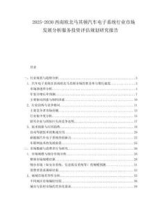 2025-2030西南歐北馬其頓汽車電子系統(tǒng)行業(yè)市場發(fā)展分析服務(wù)投資評估規(guī)劃研究報告