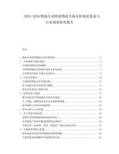 2025-2030物流行業跨境物流市場分析現狀需求與行業規劃研究報告