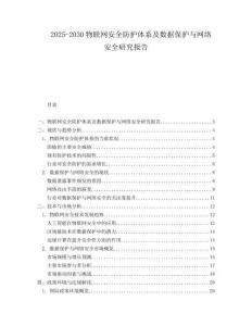2025-2030物聯(lián)網(wǎng)安全防護體系及數(shù)據(jù)保護與網(wǎng)絡安全研究報告