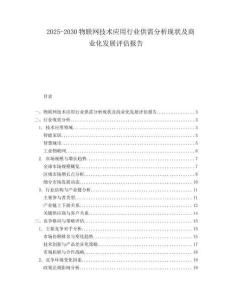 2025-2030物聯(lián)網(wǎng)技術(shù)應(yīng)用行業(yè)供需分析現(xiàn)狀及商業(yè)化發(fā)展評估報(bào)告