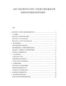 2025-2030梧州市行業(yè)輕工業(yè)發(fā)展與城市建設(shè)分析及投資評估規(guī)劃分析研究報告