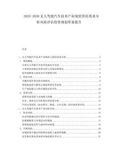 2025-2030無人駕駛汽車技術(shù)產(chǎn)業(yè)現(xiàn)狀供給需求分析風(fēng)險評估投資規(guī)劃草案報告