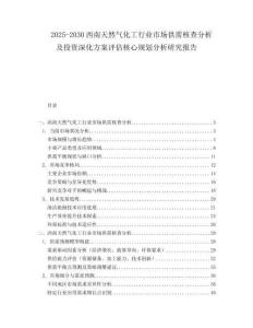 2025-2030西南天然氣化工行業(yè)市場(chǎng)供需核查分析及投資深化方案評(píng)估核心規(guī)劃分析研究報(bào)告