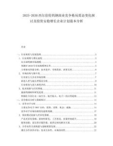 2025-2030西爾伯倫鎢鋼商業(yè)競爭格局需態(tài)變化探討及投資安穩(wěn)增長企業(yè)計(jì)劃藍(lán)本分析
