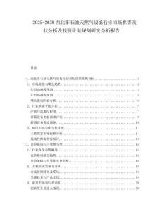 2025-2030西北非石油天然氣設(shè)備行業(yè)市場(chǎng)供需現(xiàn)狀分析及投資計(jì)劃規(guī)劃研究分析報(bào)告