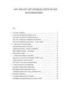 2025-2030西亞天然氣管道建設(shè)行業(yè)供需分析及投資評(píng)估規(guī)劃研究報(bào)告