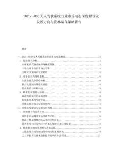 2025-2030無人駕駛系統(tǒng)行業(yè)市場動態(tài)深度解讀及發(fā)展方向與資本運(yùn)作策略報告