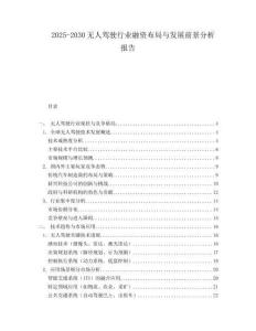 2025-2030無人駕駛行業(yè)融資布局與發(fā)展前景分析報告