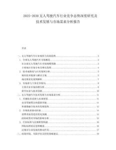 2025-2030無人駕駛汽車行業(yè)競爭態(tài)勢深度研究及技術(shù)發(fā)展與市場需求分析報告