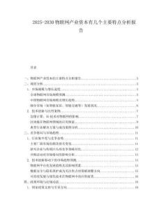 2025-2030物聯(lián)網(wǎng)產(chǎn)業(yè)資本有幾個主要特點分析報告