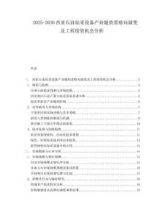 2025-2030西亞石油鉆采設(shè)備產(chǎn)業(yè)鏈供需格局演變及工程投資機(jī)會(huì)分析