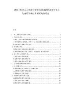 2025-2030無人駕駛行業(yè)市場潛力評估及競爭格局與自動駕駛技術(shù)創(chuàng)新趨勢研究