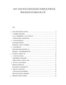 2025-2030西亞石油鉆采設(shè)備行業(yè)現(xiàn)狀競爭格局發(fā)展前景投資評估規(guī)劃分析文件