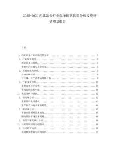 2025-2030西北冶金行業(yè)市場(chǎng)現(xiàn)狀供需分析投資評(píng)估規(guī)劃報(bào)告