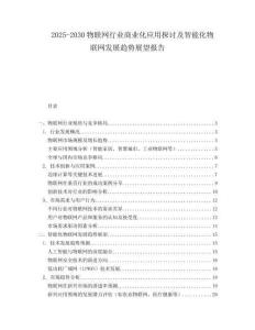 2025-2030物聯(lián)網(wǎng)行業(yè)商業(yè)化應(yīng)用探討及智能化物聯(lián)網(wǎng)發(fā)展趨勢(shì)展望報(bào)告