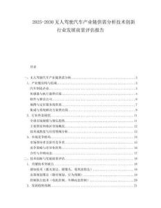 2025-2030無(wú)人駕駛汽車產(chǎn)業(yè)鏈供需分析技術(shù)創(chuàng)新行業(yè)發(fā)展前景評(píng)估報(bào)告