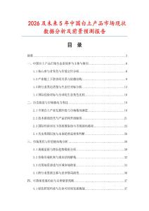 2026及未來5年中國白土產品市場現狀數據分析及前景預測報告