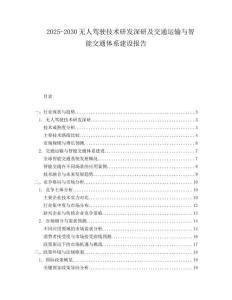 2025-2030無人駕駛技術(shù)研發(fā)深研及交通運輸與智能交通體系建設(shè)報告