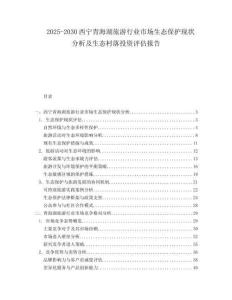2025-2030西寧青海湖旅游行業(yè)市場生態(tài)保護現(xiàn)狀分析及生態(tài)村落投資評估報告