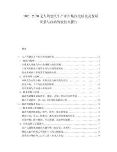 2025-2030無人駕駛汽車產(chǎn)業(yè)市場深度研究及發(fā)展前景與自動駕駛技術報告