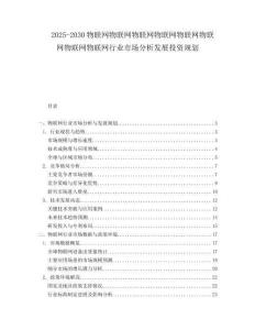 2025-2030物聯(lián)網(wǎng)物聯(lián)網(wǎng)物聯(lián)網(wǎng)物聯(lián)網(wǎng)物聯(lián)網(wǎng)物聯(lián)網(wǎng)物聯(lián)網(wǎng)物聯(lián)網(wǎng)行業(yè)市場(chǎng)分析發(fā)展投資規(guī)劃