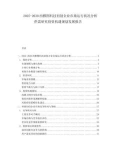 2025-2030西雅圖科技初創(chuàng)企業(yè)市場運行狀況分析供需研究投資機遇規(guī)劃發(fā)展報告